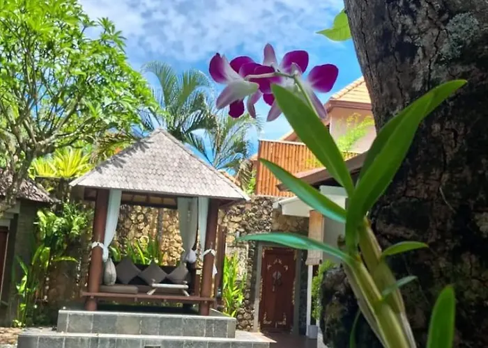 Mango Bali *